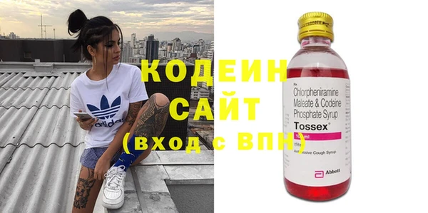 эйфоретик Бородино