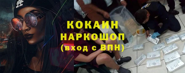 эйфоретик Бородино