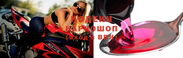 эйфоретик Бородино