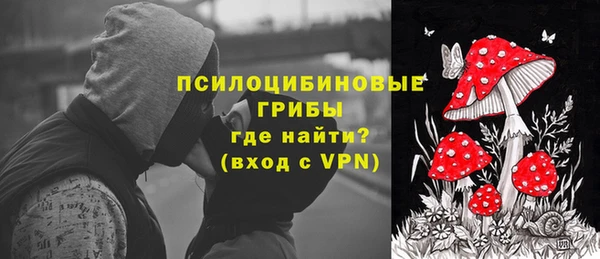 эйфоретик Бородино