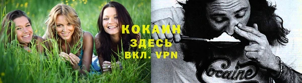 не бодяженный Бронницы