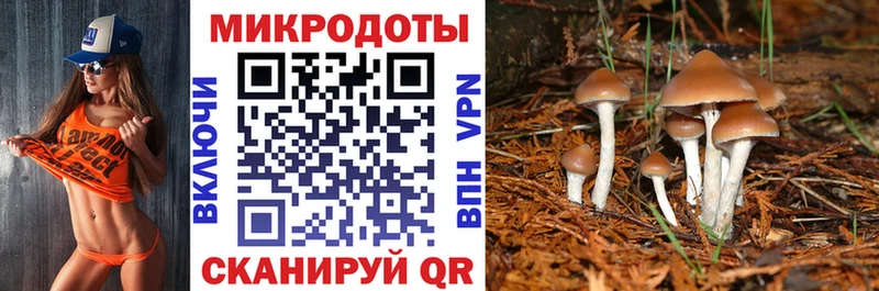 Галлюциногенные грибы Psilocybe  магазин  наркотиков  Энгельс 