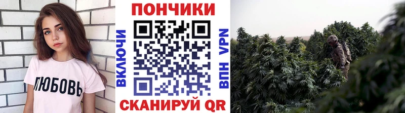 Бошки марихуана SATIVA & INDICA  kraken рабочий сайт  Энгельс 